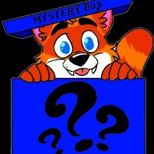 Mystery Box of Random Clothes and Shoes 5-7 Pieces